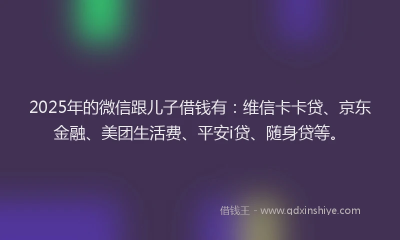 2025年的微信跟儿子借钱有：维信卡卡贷、京东金融、美团生活费、平安i贷、随身贷等。