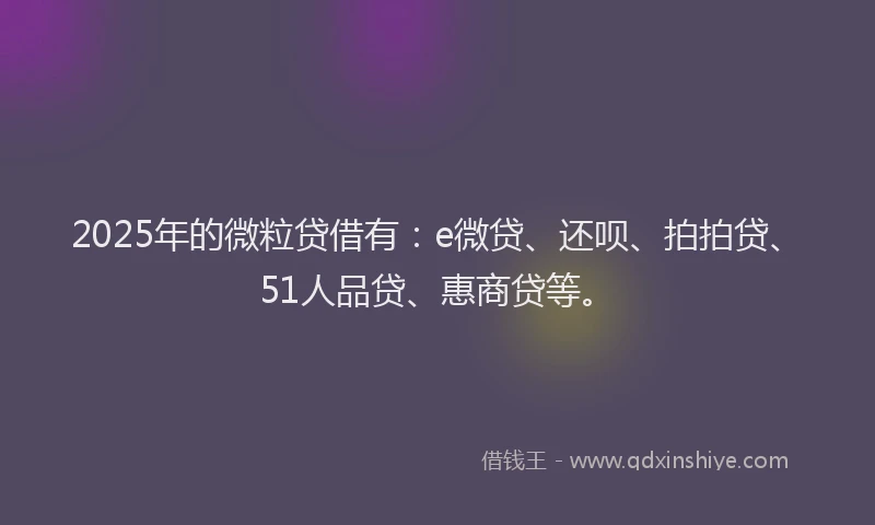 2025年的微粒贷借有：e微贷、还呗、拍拍贷、51人品贷、惠商贷等。
