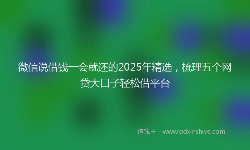 微信说借钱一会就还的2025年精选，梳理五个网贷大口子轻松借平台