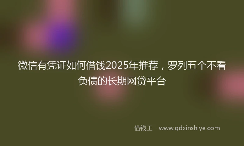 微信有凭证如何借钱2025年推荐，罗列五个不看负债的长期网贷平台