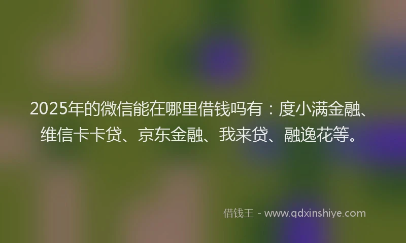 2025年的微信能在哪里借钱吗有：度小满金融、维信卡卡贷、京东金融、我来贷、融逸花等。
