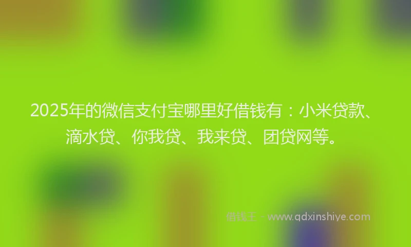 2025年的微信支付宝哪里好借钱有：小米贷款、滴水贷、你我贷、我来贷、团贷网等。