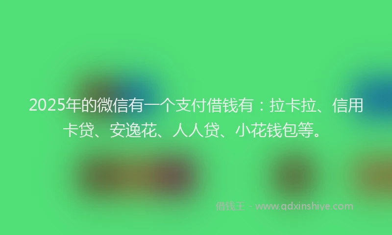 2025年的微信有一个支付借钱有：拉卡拉、信用卡贷、安逸花、人人贷、小花钱包等。