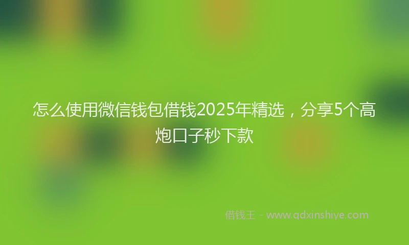 怎么使用微信钱包借钱2025年精选，分享5个高炮口子秒下款