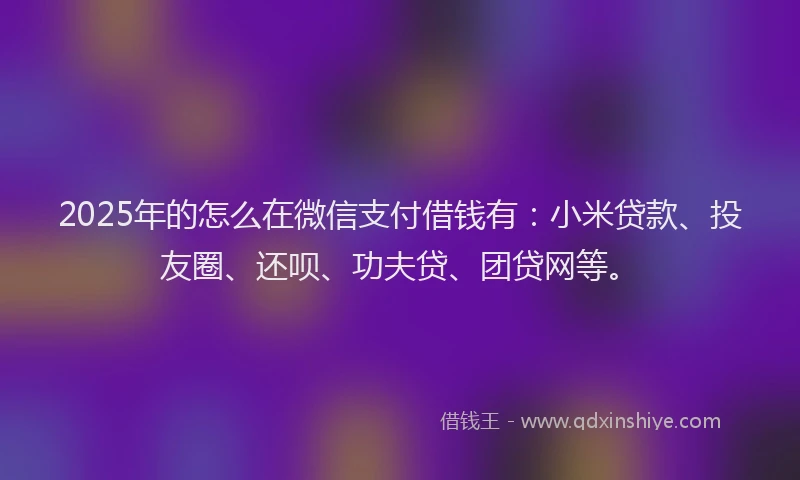 2025年的怎么在微信支付借钱有：小米贷款、投友圈、还呗、功夫贷、团贷网等。