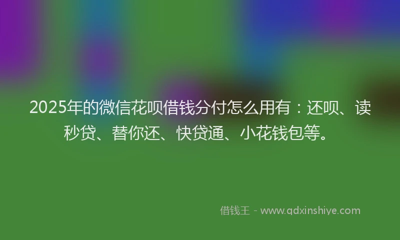 2025年的微信花呗借钱分付怎么用有：还呗、读秒贷、替你还、快贷通、小花钱包等。