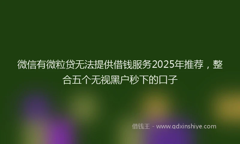 微信有微粒贷无法提供借钱服务2025年推荐，整合五个无视黑户秒下的口子