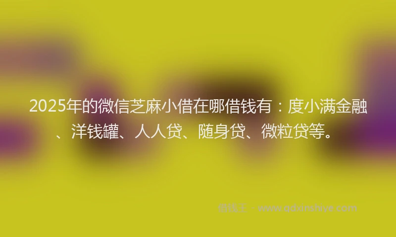 2025年的微信芝麻小借在哪借钱有：度小满金融、洋钱罐、人人贷、随身贷、微粒贷等。