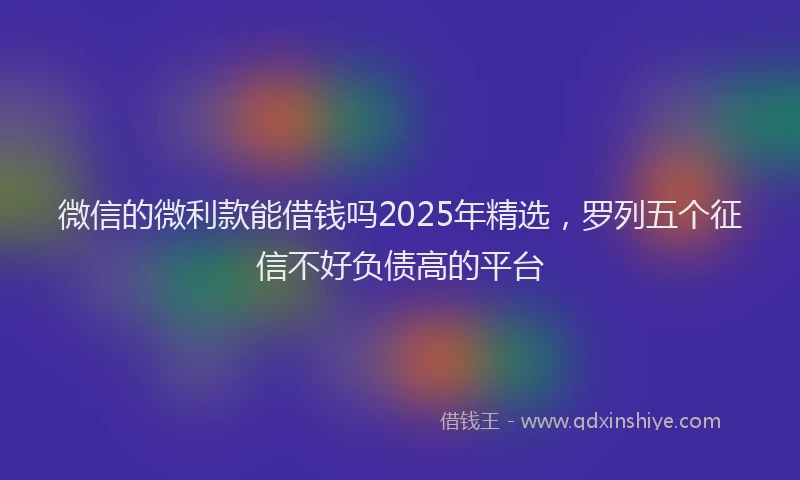 微信的微利款能借钱吗2025年精选，罗列五个征信不好负债高的平台