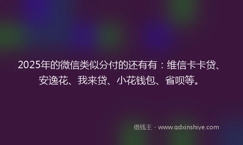 2025年的微信类似分付的还有有：维信卡卡贷、安逸花、我来贷、小花钱包、省呗等。
