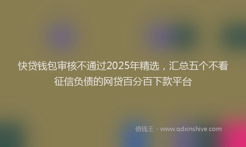 快贷钱包审核不通过2025年精选，汇总五个不看征信负债的网贷百分百下款平台