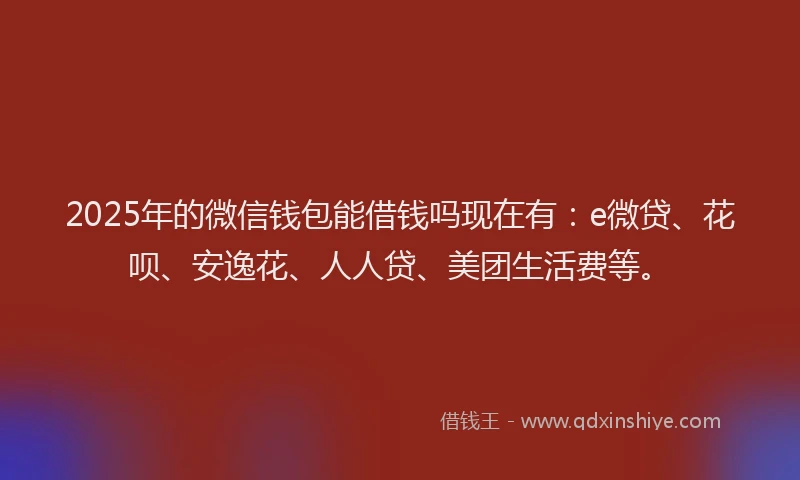 2025年的微信钱包能借钱吗现在有：e微贷、花呗、安逸花、人人贷、美团生活费等。