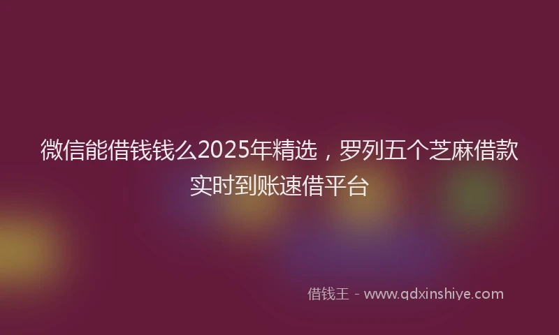 微信能借钱钱么2025年精选，罗列五个芝麻借款实时到账速借平台