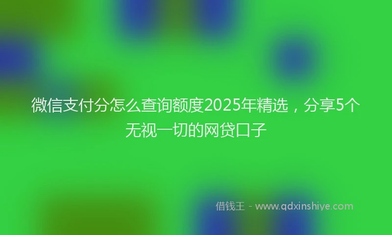 微信支付分怎么查询额度2025年精选，分享5个无视一切的网贷口子