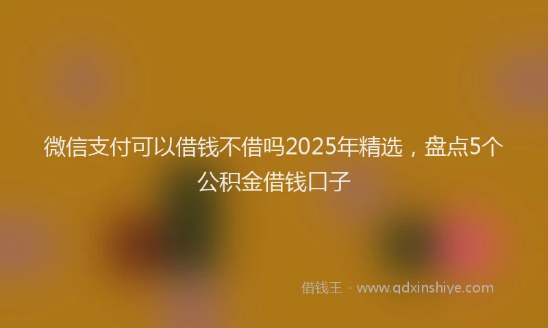 微信支付可以借钱不借吗2025年精选，盘点5个公积金借钱口子