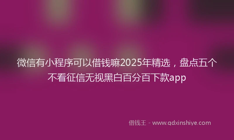微信有小程序可以借钱嘛2025年精选，盘点五个不看征信无视黑白百分百下款app