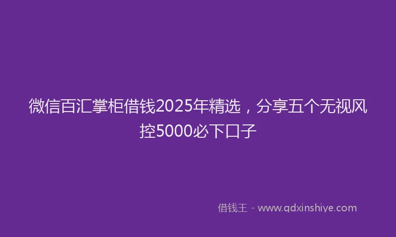 微信百汇掌柜借钱2025年精选，分享五个无视风控5000必下口子