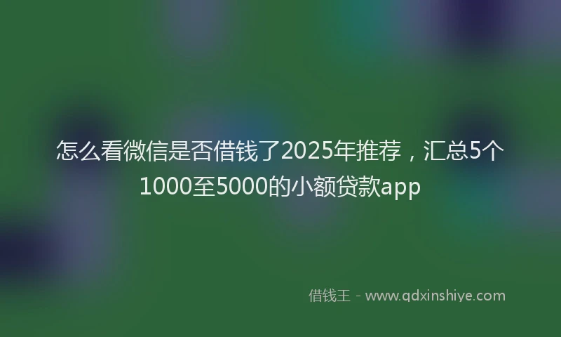 怎么看微信是否借钱了2025年推荐，汇总5个1000至5000的小额贷款app