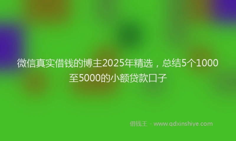微信真实借钱的博主2025年精选，总结5个1000至5000的小额贷款口子