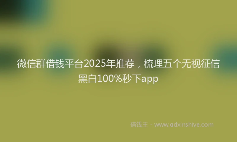 微信群借钱平台2025年推荐，梳理五个无视征信黑白100%秒下app