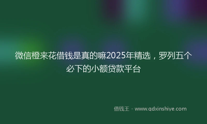 微信橙来花借钱是真的嘛2025年精选，罗列五个必下的小额贷款平台