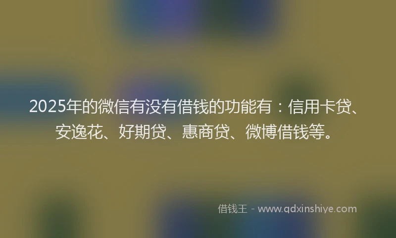2025年的微信有没有借钱的功能有：信用卡贷、安逸花、好期贷、惠商贷、微博借钱等。