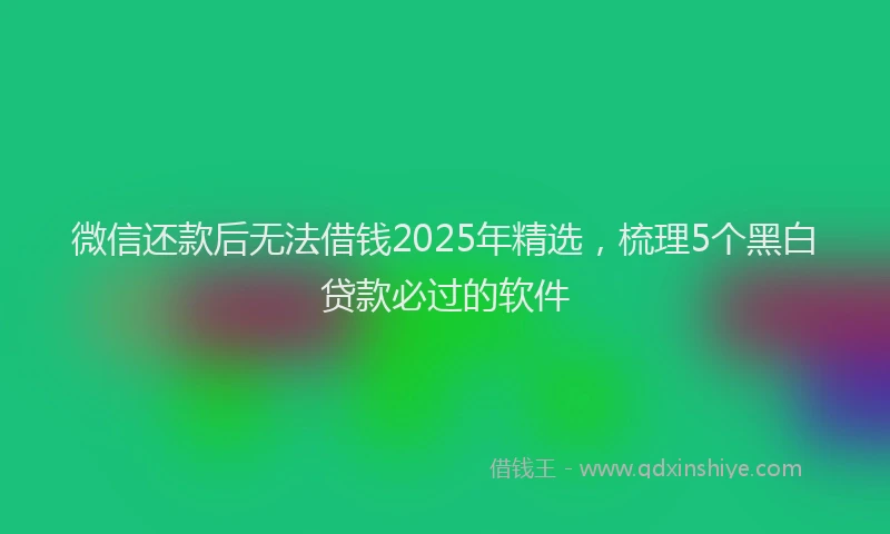 微信还款后无法借钱2025年精选，梳理5个黑白贷款必过的软件