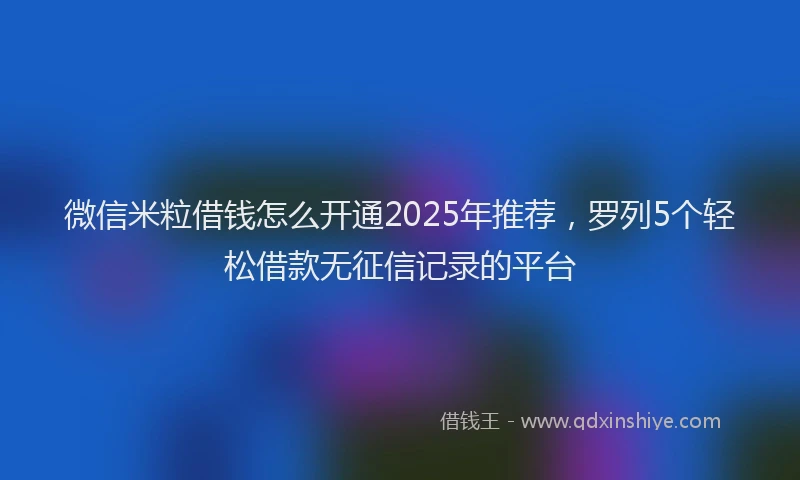 微信米粒借钱怎么开通2025年推荐，罗列5个轻松借款无征信记录的平台
