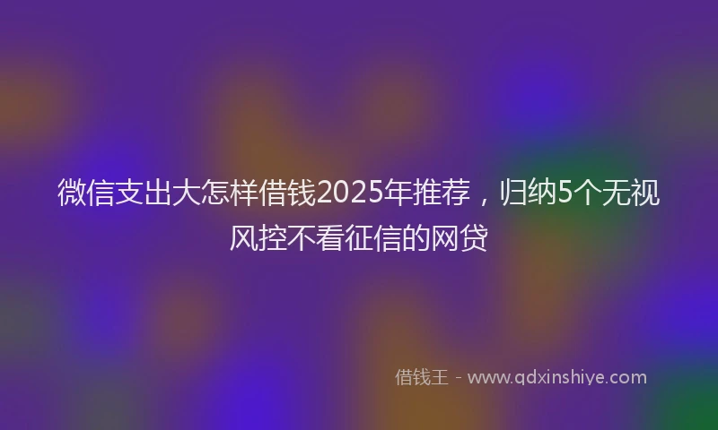 微信支出大怎样借钱2025年推荐，归纳5个无视风控不看征信的网贷