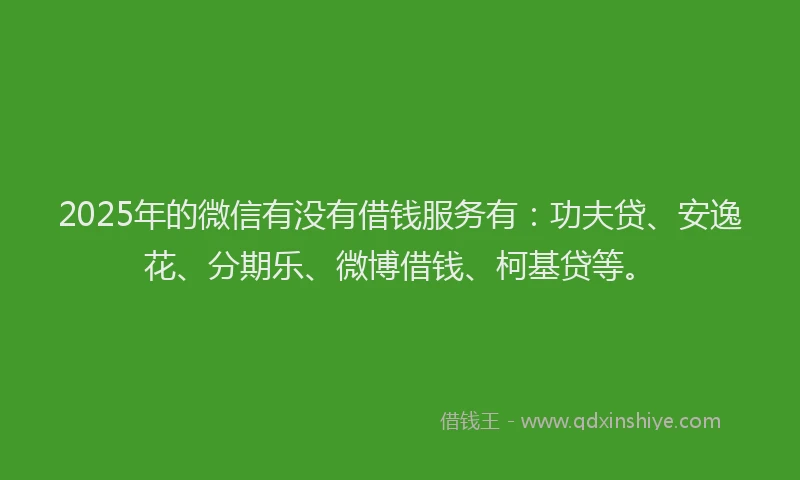 2025年的微信有没有借钱服务有：功夫贷、安逸花、分期乐、微博借钱、柯基贷等。
