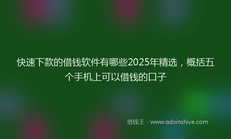 快速下款的借钱软件有哪些2025年精选，概括五个手机上可以借钱的口子