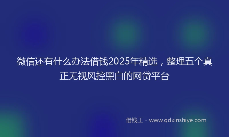 微信还有什么办法借钱2025年精选，整理五个真正无视风控黑白的网贷平台