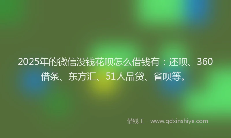 2025年的微信没钱花呗怎么借钱有：还呗、360借条、东方汇、51人品贷、省呗等。