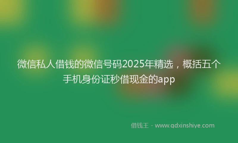 微信私人借钱的微信号码2025年精选，概括五个手机身份证秒借现金的app