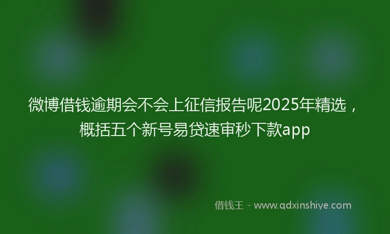 微博借钱逾期会不会上征信报告呢2025年精选，概括五个新号易贷速审秒下款app
