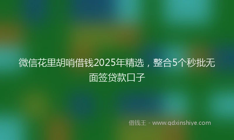 微信花里胡哨借钱2025年精选，整合5个秒批无面签贷款口子
