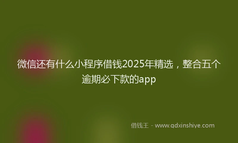 微信还有什么小程序借钱2025年精选，整合五个逾期必下款的app