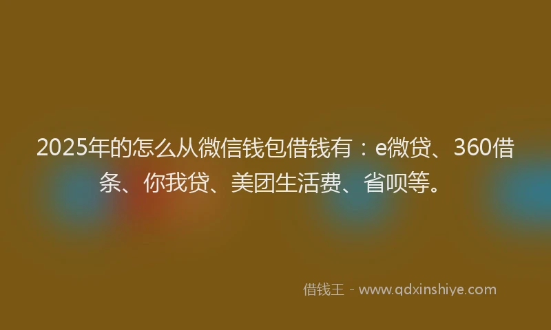2025年的怎么从微信钱包借钱有：e微贷、360借条、你我贷、美团生活费、省呗等。