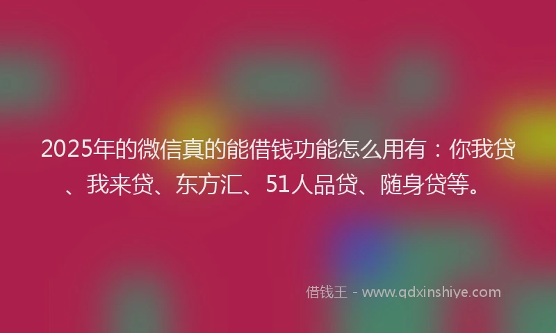 2025年的微信真的能借钱功能怎么用有：你我贷、我来贷、东方汇、51人品贷、随身贷等。