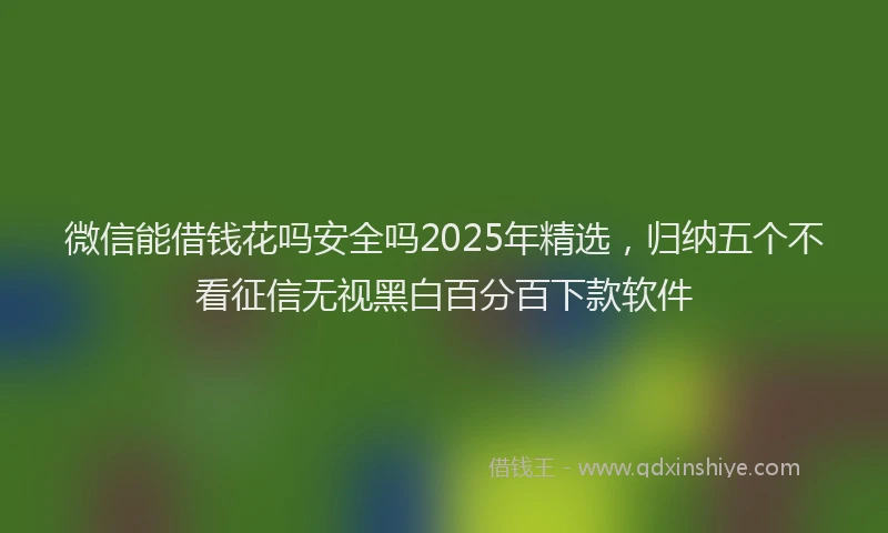 微信能借钱花吗安全吗2025年精选，归纳五个不看征信无视黑白百分百下款软件