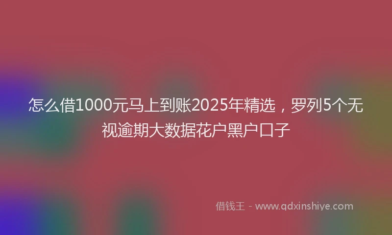 怎么借1000元马上到账2025年精选，罗列5个无视逾期大数据花户黑户口子