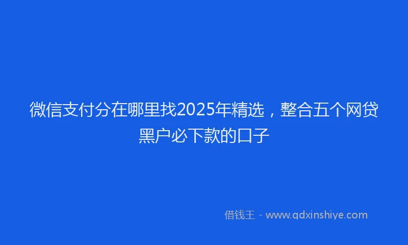 微信支付分在哪里找2025年精选，整合五个网贷黑户必下款的口子