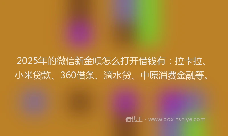 2025年的微信新金呗怎么打开借钱有：拉卡拉、小米贷款、360借条、滴水贷、中原消费金融等。