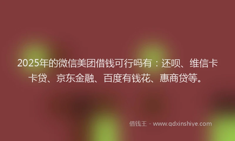 2025年的微信美团借钱可行吗有：还呗、维信卡卡贷、京东金融、百度有钱花、惠商贷等。