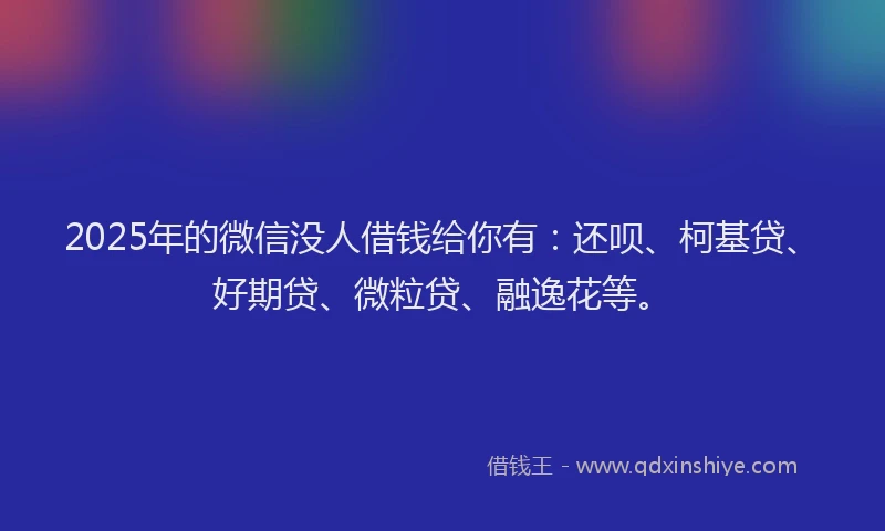 2025年的微信没人借钱给你有：还呗、柯基贷、好期贷、微粒贷、融逸花等。