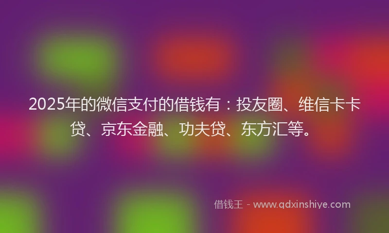 2025年的微信支付的借钱有：投友圈、维信卡卡贷、京东金融、功夫贷、东方汇等。