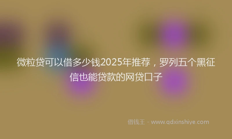 微粒贷可以借多少钱2025年推荐，罗列五个黑征信也能贷款的网贷口子