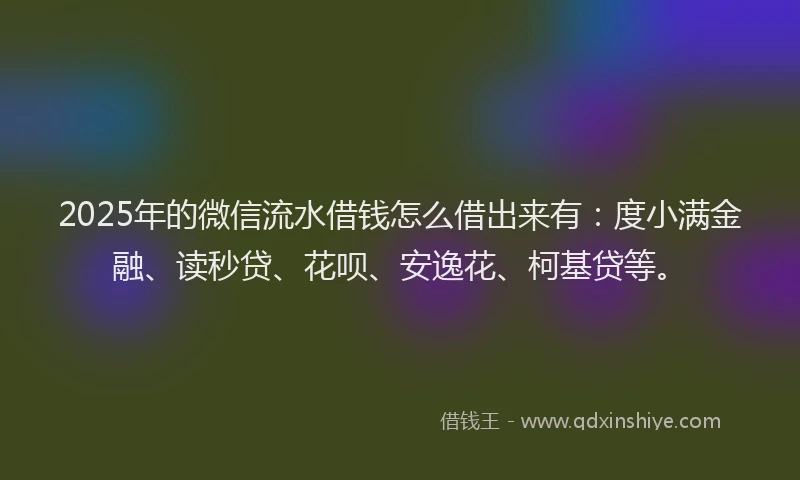 2025年的微信流水借钱怎么借出来有：度小满金融、读秒贷、花呗、安逸花、柯基贷等。