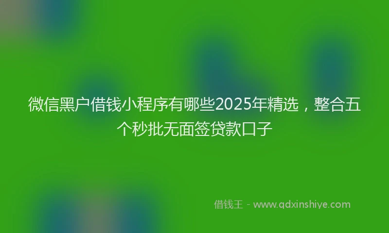微信黑户借钱小程序有哪些2025年精选，整合五个秒批无面签贷款口子
