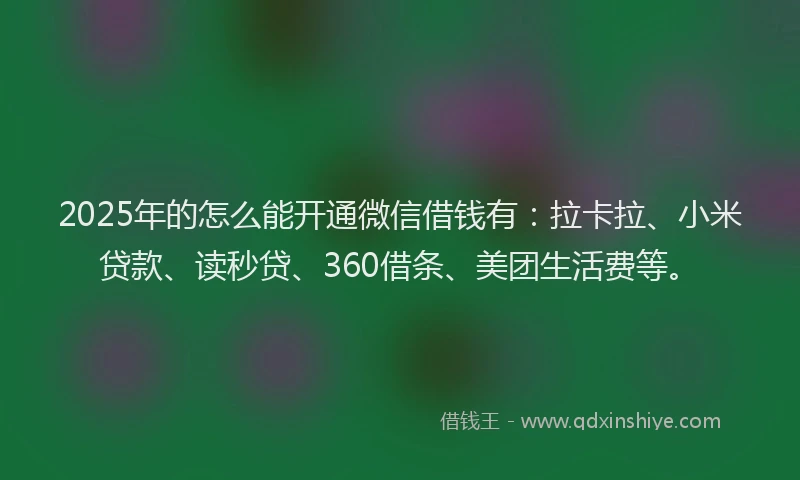 2025年的怎么能开通微信借钱有：拉卡拉、小米贷款、读秒贷、360借条、美团生活费等。
